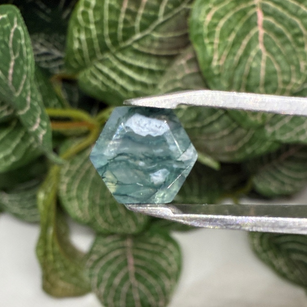 Faceted Moss Agate Hexagon